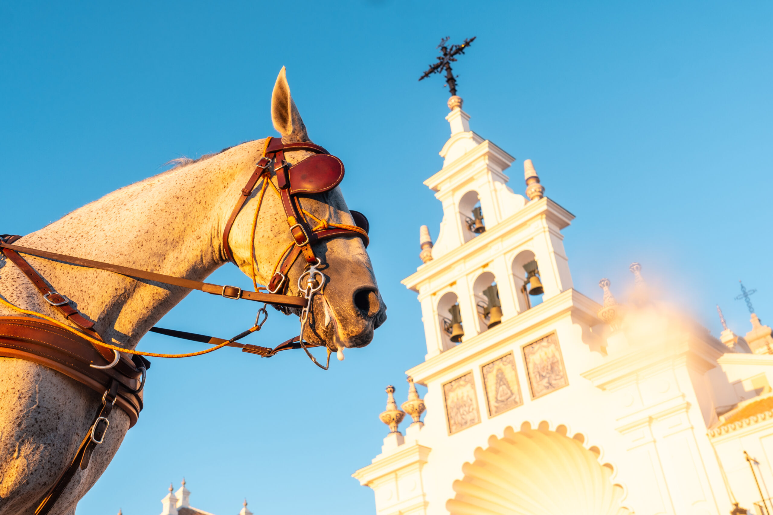 reasons to buy your house in Fuengirola 
