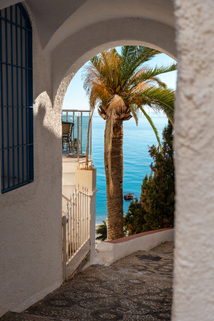 the Mediterranean dream